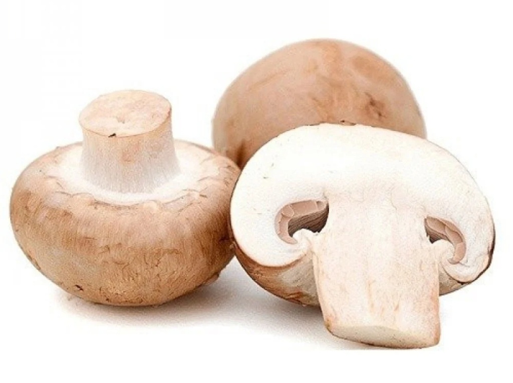 Mushroom/kg